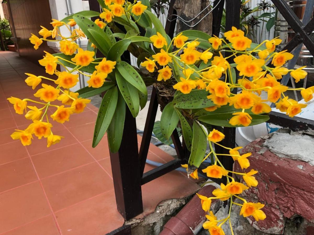 Villa Mery2 Luang Prabang Eksteriør billede